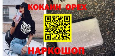 крисы Пенза
