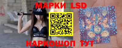 крисы Пенза