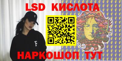 крисы Пенза