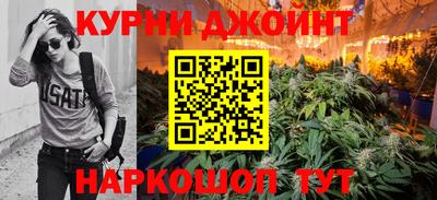 крисы Пенза