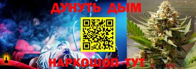 крисы Пенза
