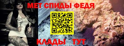 крисы Пенза