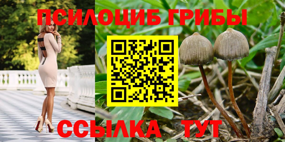 Пыть-Ях  Галлюциногенные грибы Psilocybe  Вход с VPN 